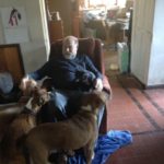 Wildman at Home with Dogs